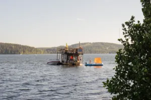 Sonaari 2026 · Perjantai · kuva 104 · Ninni Karjalainen